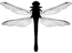 Web Matters Logo