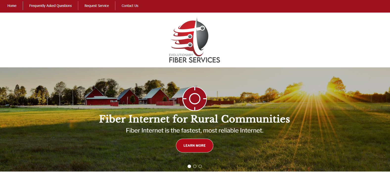 efs fiber